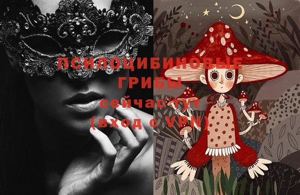 Альфа ПВП Дмитриев