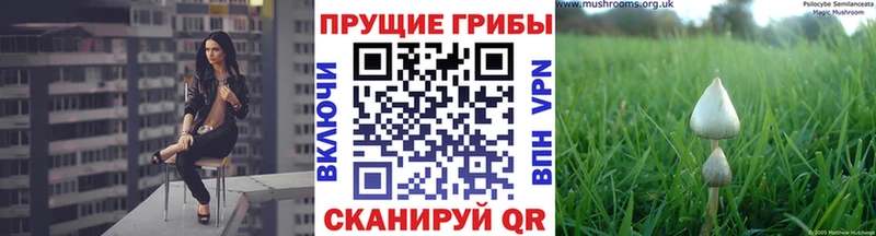 Галлюциногенные грибы ЛСД  закладки  Новошахтинск 